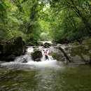 둔창민박 이미지