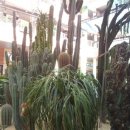 (주)소셜원 이미지