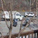 홍천막국수 이미지