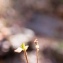 산마루로뎀 이미지