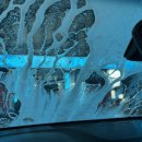 월드카워시 이미지