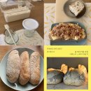 [TWL x 루베이크] 홈베이커를 위한 사워도우 스타터 만들기 : 클래스 후기
