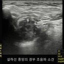 상이비인후과의원 이미지