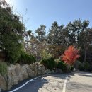 GR(태안군)-[동백로]-상-2 | 충남 태안 아기랑 카페 사계 태안점 방문 후기 + 크리스마스, 놀이터