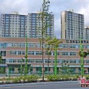 경북일고등학교 이미지