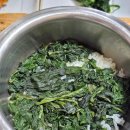 맛있는생오리 | 경주밥집 보문단지맛집 찐추천 나현생오리 식사 후기