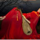 거제-거제-거제-비상-09 이미지