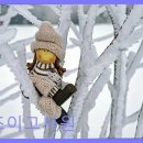 조이고시원 - 관악구 신림로64길 52 | 조이고시원