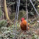 겨리농장 이미지