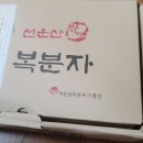 흥진과일 이미지