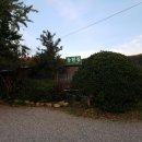 오리불고기와 메기탕 이미지