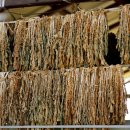 유구매운탕 이미지