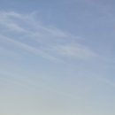 동중농장 이미지