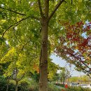 마곡하늬근린공원 이미지