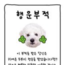 견생멍컷 이미지