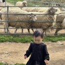 장터목장 | 부산근교 아기랑 갈만한 곳 - 울산하늘목장