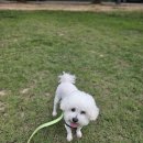 하이바이 동물위탁센터 대구점 이미지