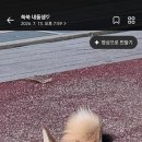 외갓집병점 네이버블로그