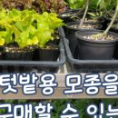 김해농약종묘사 이미지