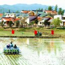 은덕농장 이미지