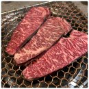 규이치 프리미엄 이미지