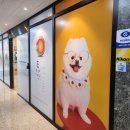 위드안경 이미지