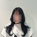 여수죽림동물병원 애견미용실 | 💇 여수 죽림미용실 하렌하우스 예나 디자이너 레이어드커트 후기