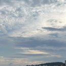 요거트월드경희궁 | 0818-0823 수요일 오후란 뭘까..