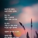 Holidays - Polnareff / I will wait for you - 1964 이미지