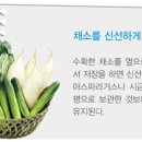 유기농 텃밭가꾸기 기초_물주기/수확하기 이미지