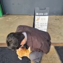 금산-61 | 금산 - 바르비종베이커리카페, 황가네 한방오리