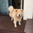 라이앤미 이미지