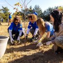 국제가든 이미지
