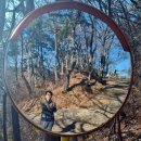 꽃마을로 이미지