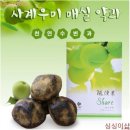 사계우미