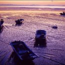 일탈을꿈꾸며 이미지