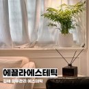 도로공사 사거리 | 에끌라에스테틱 김해 피부관리 에스테틱 피부도로공사 추천