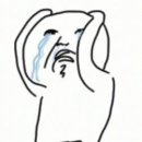 평창교육도서관 이미지