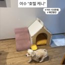 이마트24 호텔케니여수점 | 여수 시내 애견 동반 가능 가성비 호텔 &#34;호텔 케니 여수&#34; 내돈내산 솔직후기