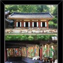 순천-56호 이미지