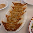 미스타교자 - 영등포구 도림로 431 | 천호 교자맛집 미스타교자 후기｜기린생맥주 맛있는 강동역 이자카야