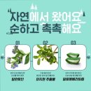아지네일 네이버블로그