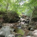 계척시목지 | 나도 구례 2박 3일 여행일정 계획할 수 있다??