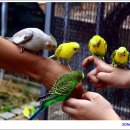 경주버드파크 이미지