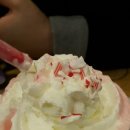 똘래랑스 이미지