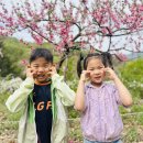 선경농장 이미지