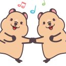 오키도키영어교습소