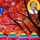 딩동댕발전소 이미지