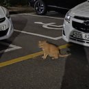 1982떡볶이&컵밥 세종대점 | 10월 일상 : 10월은 아직 끝나지 않았다.