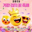 의령-의령-의령-D-6 이미지